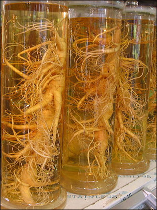 20111102-Wikicommons Ginseng 22.jpg